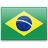 Flag Brésil