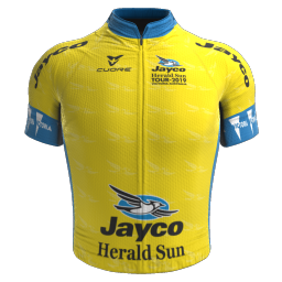 Maillot Leader